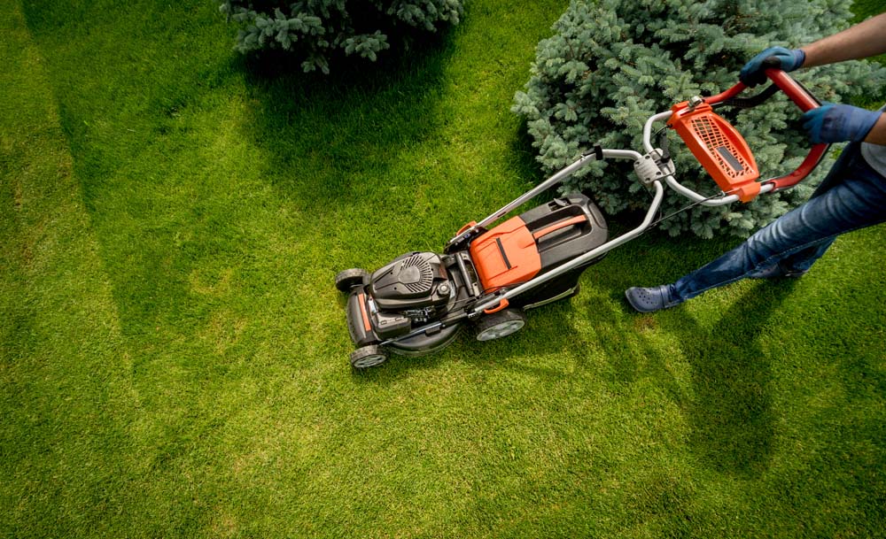Gardener mowing the lawn. Landscape design. Gardening